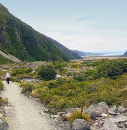 hooker valley track