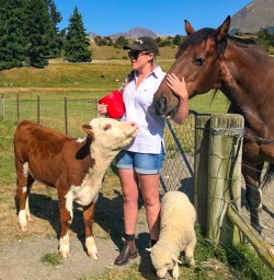 Hungry animals at Mount Nicholas station