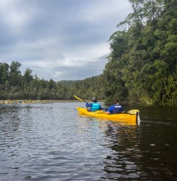 Kayak tour at Okarito Lagoon, West Coast New Zealand