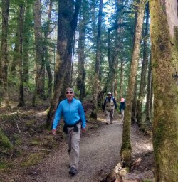 Kepler Track forest
