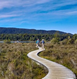 Kepler Track wetlands