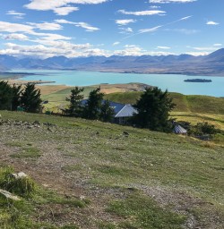 Lake Tekapo, Canterbury New Zealand