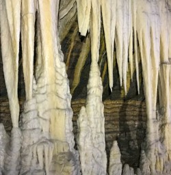 Limestone formations Charleston