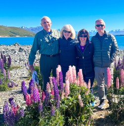 Mackenzie Country lupins