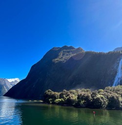 Milford Sound cruise