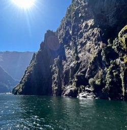 Milford Sound guide tours