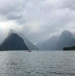 Milford Sound in the clouds
