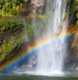 Milford Sound water fall