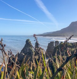 Paparoa National Park West Coast New Zealand
