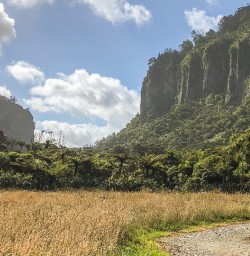 Paparoa national park, West Coast New Zealand