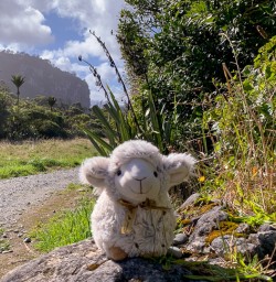 Paparoa national park, West Coast New Zealand