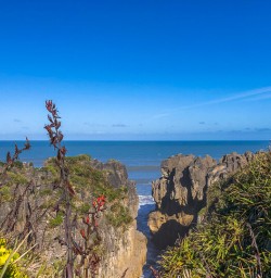 Paparoa National Park West Coast New Zealand