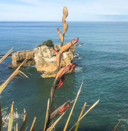 Paparoa National Park West Coast New Zealand