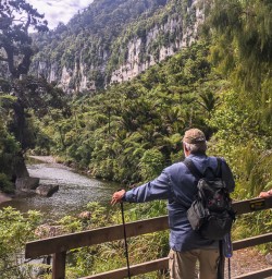 Porarari river, Paparoa National Park West Coast New Zealand