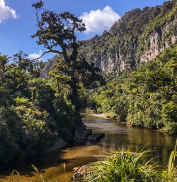Porarari river, Paparoa National Park West Coast New Zealand