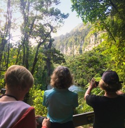 And the Porarari River gorge itself. Looking like something from the land time forgot.