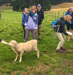 Southern Discoveries farm tour