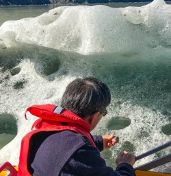 Touching ice berg of Tasman Glacier