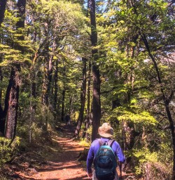 Walking along Lake Rotoiti, Tasman New Zealand