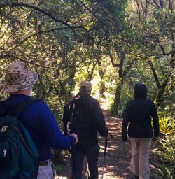 Walking along Lake Rotoiti, Tasman New Zealand