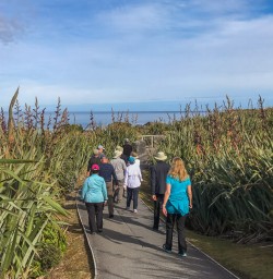 Walking at Paparoa national park, West Coast New Zealand
