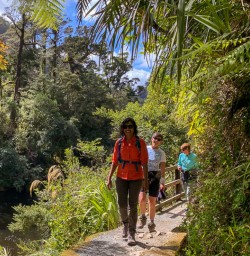 Walking at Porarari river, Paparoa National Park West Coast New Zealand