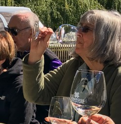 Wine tasting at Kinross wineyard winery, Otago New Zealand