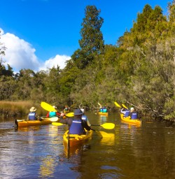 12. Down river on the Kayak tour