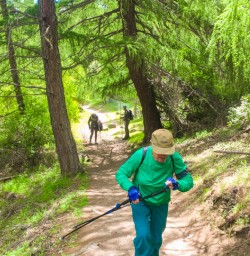 12. Mt John trail
