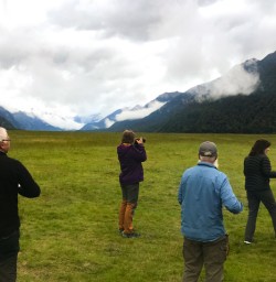 12. Fiordland Views