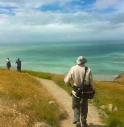 12. Godley Head trail