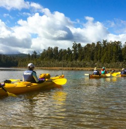 12. Group Kayaking Franz Josef