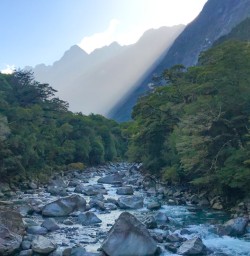 12. Milford Sound river views