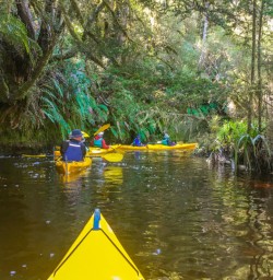 12. Narrow river kayaking