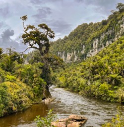 12. Pororari River