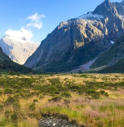 12. The drive to Milford Sound views