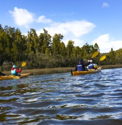 12. The group Kayak Franz Josef