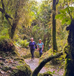 12. Through the bush Pororari River Track