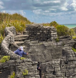 12. West Coast bird watching