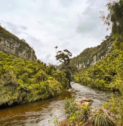 12. Wide angle Pororari River bend
