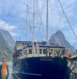 Cruise Milford Sound hike the Routeburn Track 11 November 2024 1