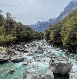 Cruise Milford Sound hike the Routeburn Track 11 November 20242