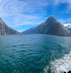 Cruise Milford Sound hike the Routeburn Track 11 November 2024 7