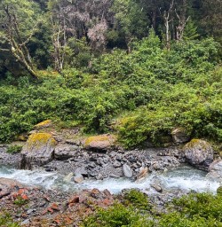Hike Routeburn Track to Key Summit 18 November 2024 6