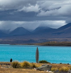 Mackenzie Country
