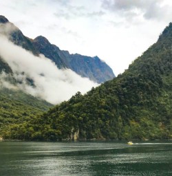 13 Milford Cruise masterpiece