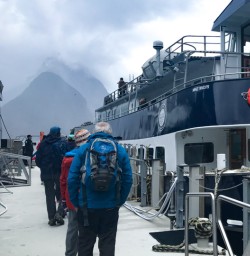 13 Milford Sound Cruise