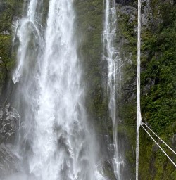 Milford Sound boat tours 