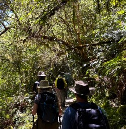 Milford Sound hike the Routeburn Track 18 November 2024 9