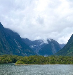 Milford Sound in Fiordland National Park 2